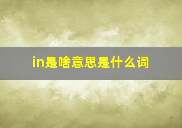 in是啥意思是什么词