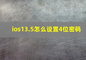 ios13.5怎么设置4位密码