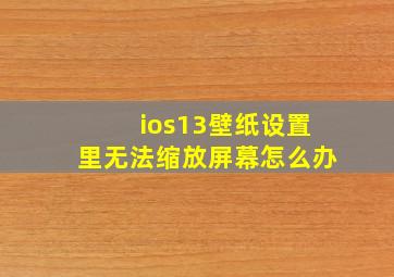 ios13壁纸设置里无法缩放屏幕怎么办