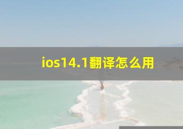 ios14.1翻译怎么用