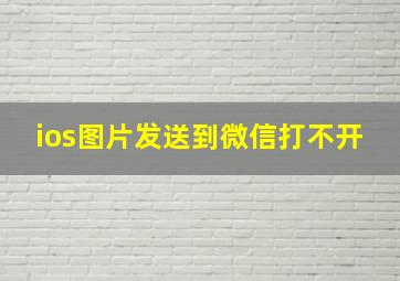 ios图片发送到微信打不开