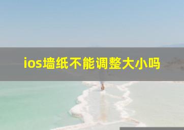 ios墙纸不能调整大小吗