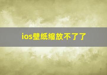 ios壁纸缩放不了了