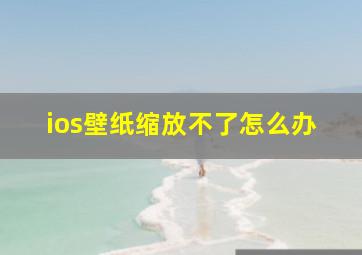 ios壁纸缩放不了怎么办