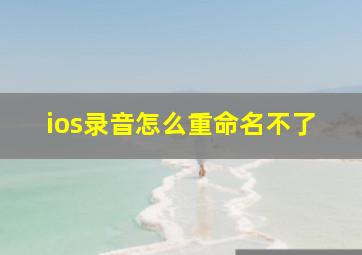 ios录音怎么重命名不了