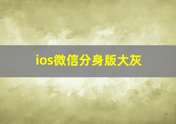 ios微信分身版大灰