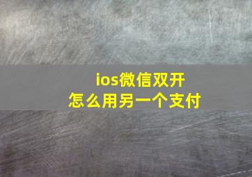 ios微信双开怎么用另一个支付