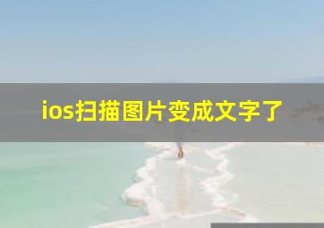 ios扫描图片变成文字了