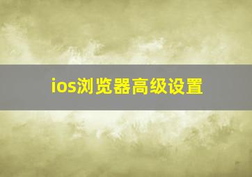 ios浏览器高级设置