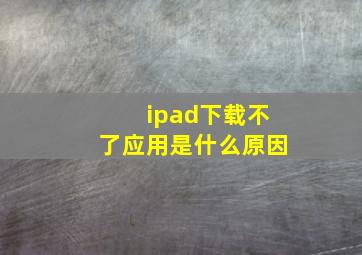 ipad下载不了应用是什么原因