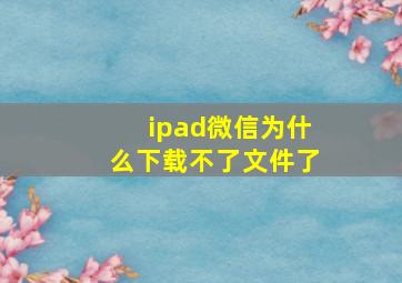 ipad微信为什么下载不了文件了