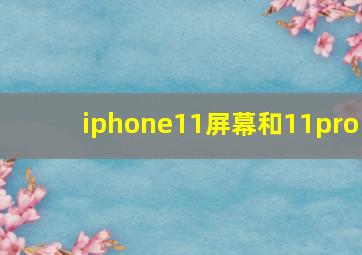 iphone11屏幕和11pro