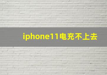 iphone11电充不上去