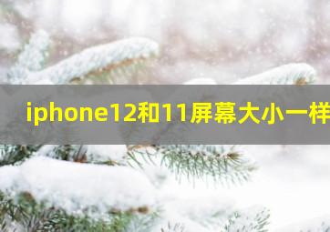 iphone12和11屏幕大小一样吗