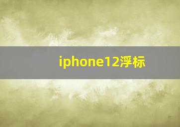 iphone12浮标