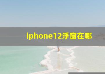 iphone12浮窗在哪