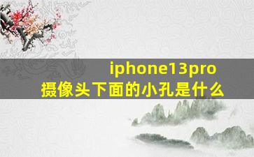 iphone13pro摄像头下面的小孔是什么