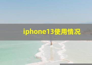 iphone13使用情况