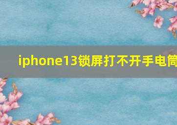 iphone13锁屏打不开手电筒