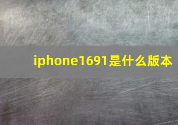 iphone1691是什么版本