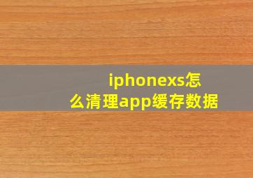 iphonexs怎么清理app缓存数据