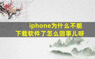 iphone为什么不能下载软件了怎么回事儿呀