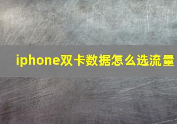 iphone双卡数据怎么选流量