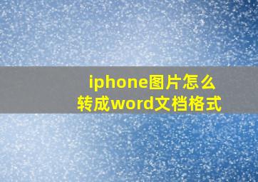 iphone图片怎么转成word文档格式