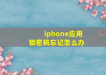 iphone应用锁密码忘记怎么办