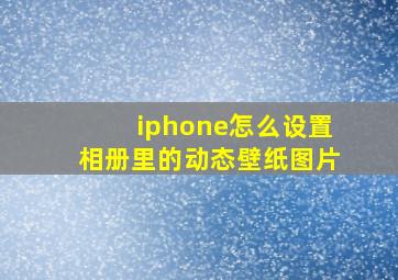 iphone怎么设置相册里的动态壁纸图片