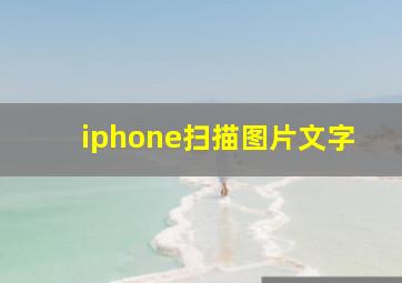 iphone扫描图片文字