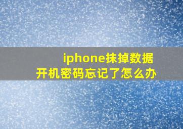 iphone抹掉数据开机密码忘记了怎么办