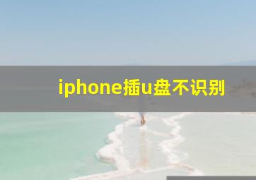 iphone插u盘不识别