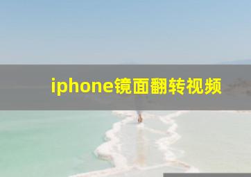 iphone镜面翻转视频