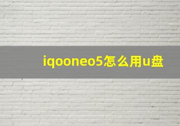 iqooneo5怎么用u盘