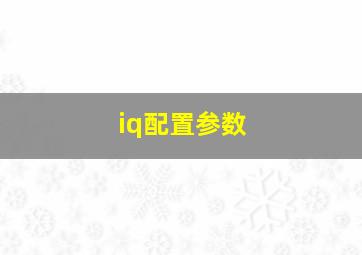 iq配置参数