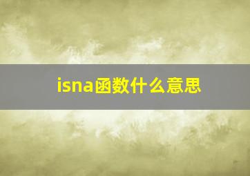 isna函数什么意思