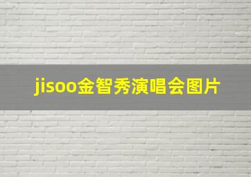 jisoo金智秀演唱会图片