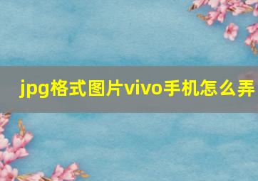 jpg格式图片vivo手机怎么弄