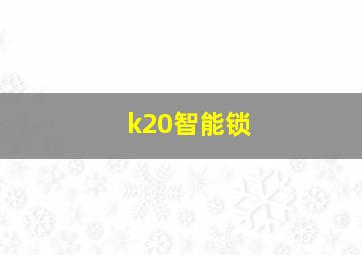 k20智能锁