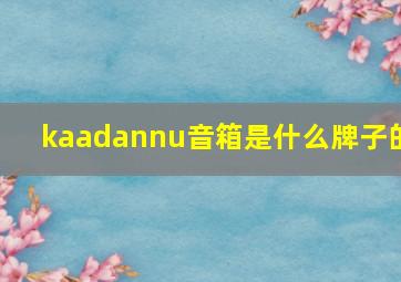 kaadannu音箱是什么牌子的