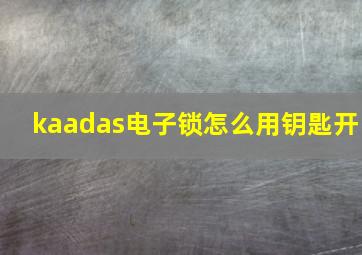 kaadas电子锁怎么用钥匙开