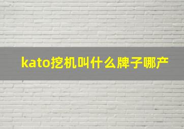 kato挖机叫什么牌子哪产