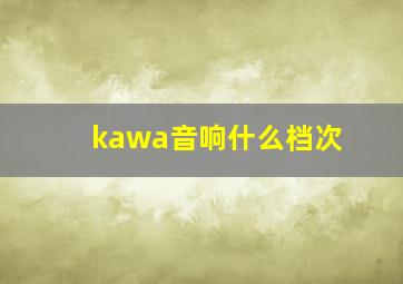 kawa音响什么档次