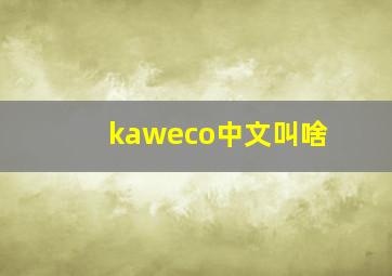 kaweco中文叫啥