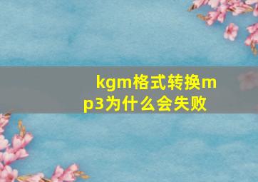 kgm格式转换mp3为什么会失败