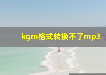 kgm格式转换不了mp3