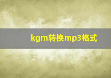 kgm转换mp3格式