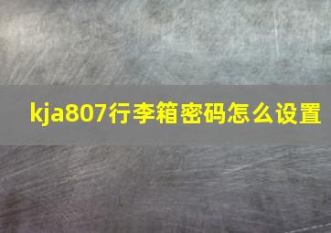 kja807行李箱密码怎么设置