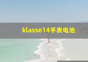 klasse14手表电池